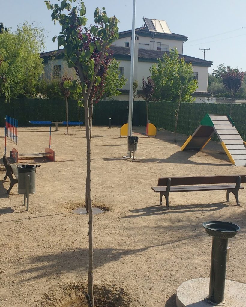 Parque canino de arena con columpios y una pirámide de cuerdas.